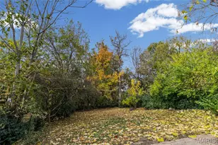 1733 Del Norte Ave, Richmond Heights, MO 63117 - Photo 29