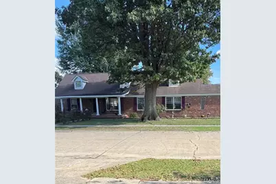 101 Saint Matthew, New Madrid, MO 63869 - Photo 1