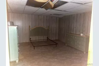 78 Meadow Pine Lane, Poplar Bluff, MO 63901 - Photo 21