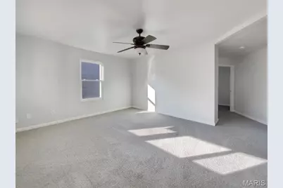 807 Huber Street, Festus, MO 63028 - Photo 9