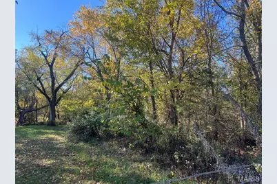 722 E Bland Road, Lebanon, MO 65536 - Photo 3