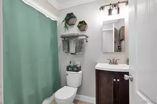 42 Chestnut Ave, Webster Groves, MO 63119 - Photo 19