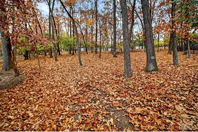 16559 Thunderhead Canyon Court, Wildwood, MO 63011 - Photo 43