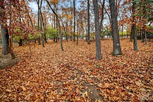 16559 Thunderhead Canyon Ct, Wildwood, MO 63011 - Photo 43