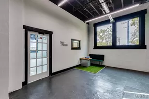 3723 Commonwealth Ave, Maplewood, MO 63143 - Photo 17