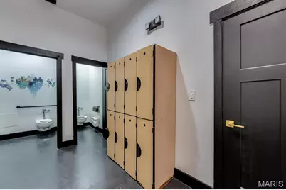 3723 Commonwealth Avenue, Maplewood, MO 63143 - Photo 23