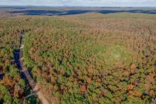 1790 Carter 327, Ellsinore, MO 63937 - Photo 45