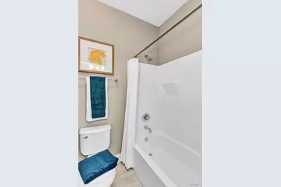 1 Tbb Monaco @willow Grove, Dardenne Prairie, MO 63368 - Photo 17