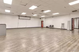 4337 Showplace Dr, Farmington, MO 63640 - Photo 43