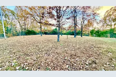 27110 Stoddard Drive, Laquey, MO 65534 - Photo 23