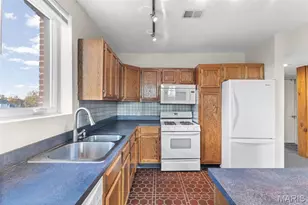 3843 St Ferdinand Ave, Saint Louis, MO 63113 - Photo 19