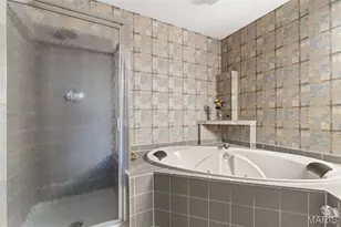 3843 St Ferdinand Ave, Saint Louis, MO 63113 - Photo 19