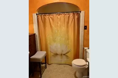 10026 Jeffrey Drive, Saint Louis, MO 63137 - Photo 11