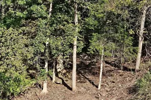 138 N Lake Sherwood Dr, Lake Sherwood, MO 63357 - Photo 3