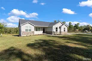 10353 New Diggins, Mineral Point, MO 63660 - Photo 7