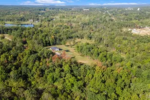 10353 New Diggins, Mineral Point, MO 63660 - Photo 61