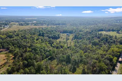10353 New Diggins, Mineral Point, MO 63660 - Photo 57