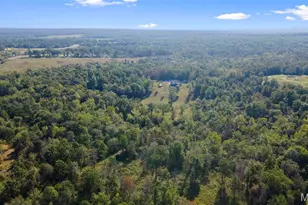 10353 New Diggins, Mineral Point, MO 63660 - Photo 57