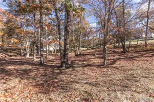 9860 E Vista Dr, Hillsboro, MO 63050 - Photo 45