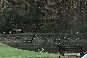 5893 Midridge Dr, House Springs, MO 63051 - Photo 25