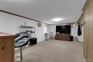 4312 Steins St, Saint Louis, MO 63116 - Photo 17