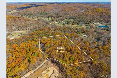 19005 Old Wild Turkey Lane, Wildwood, MO 63069 - Photo 3