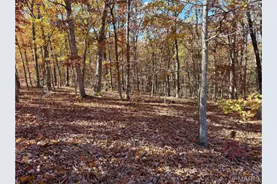 10270 Skyline Drive, Cadet, MO 63630 - Photo 1