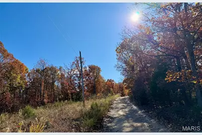 10270 Skyline Drive, Cadet, MO 63630 - Photo 5