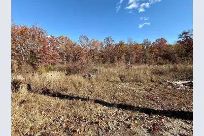 10270 Skyline Drive, Cadet, MO 63630 - Photo 11