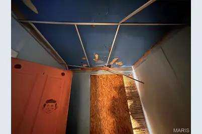 753 Aubert Avenue, Saint Louis, MO 63108 - Photo 19