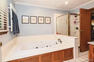 1807 Orchard Ln, Festus, MO 63028 - Photo 11