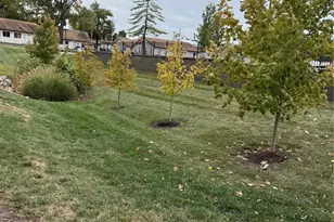 100 Cardinal Villas Dr, Saint Peters, MO 63376 - Photo 31