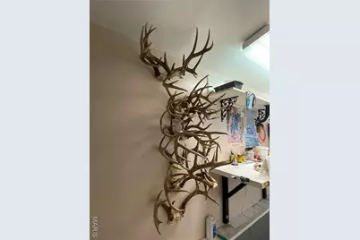 370 Hencken Hollow Lane, Saint Clair, MO 63077 - Photo 19