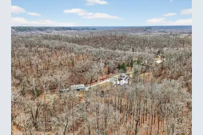 370 Hencken Hollow Lane, Saint Clair, MO 63077 - Photo 53