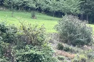 370 Hencken Hollow Ln, Saint Clair, MO 63077 - Photo 5