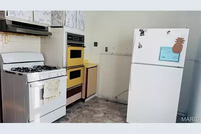 4471 S Spring Avenue, Saint Louis, MO 63116 - Photo 19