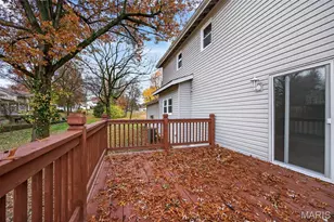 1408 Fischer Ln, Saint Charles, MO 63303 - Photo 47