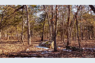 2103 Valley Creek Drive, Robertsville, MO 65066 - Photo 69