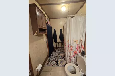 335 S Iron Street, Ironton, MO 63650 - Photo 33