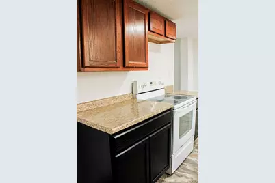 301 W North Street, Leadwood, MO 63653 - Photo 9