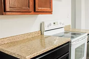 301 W North St, Leadwood, MO 63653 - Photo 9