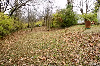 301 W North Street, Leadwood, MO 63653 - Photo 7