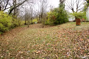 301 W North St, Leadwood, MO 63653 - Photo 7