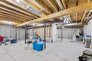 1547 Kiesha Ln, Farmington, MO 63640 - Photo 43