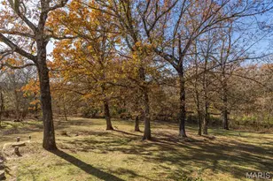 10507 Glen Oaks Dr, Festus, MO 63028 - Photo 43
