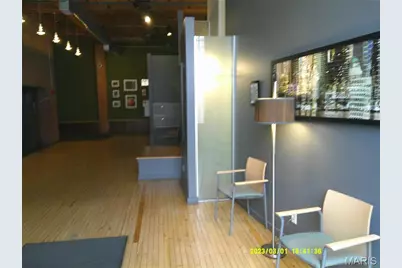 703 N 13th Street #206, Saint Louis, MO 63103 - Photo 19