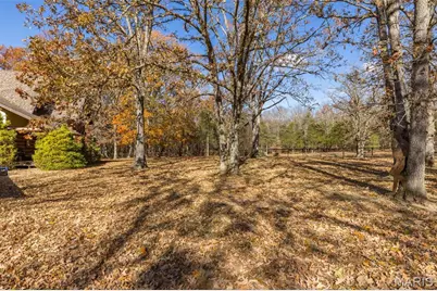 20610 Colony Church, Farmington, MO 63640 - Photo 71