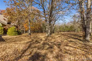 20610 Colony Church, Farmington, MO 63640 - Photo 71