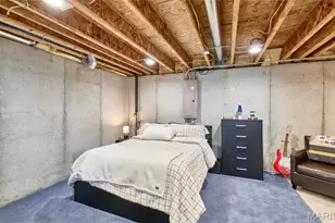 1178 Liberty Crossing, Herculaneum, MO 63048 - Photo 33