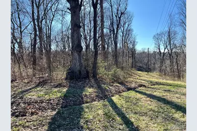 4 Acres Oak Ridge Pond Court Road, Hannibal, MO 63401 - Photo 3
